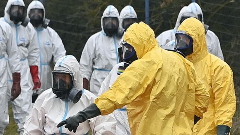 Viry, které děsí lékaře: Hrozí vlna ptačí chřipky, opičích neštovic i nových nemocí