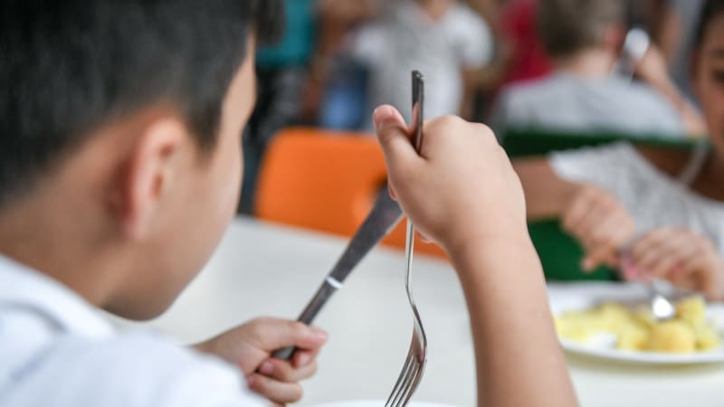 Vojtěchův poradce: Reforma školních jídelen? Je tu tlak na zrušení. Babiš už s plány couvá