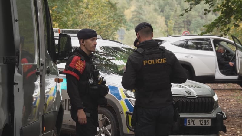 Detaily pobodání běžkyně v Plzni: Nezletilý podezřelý i náhodný výběr oběti. Svědci promluvili