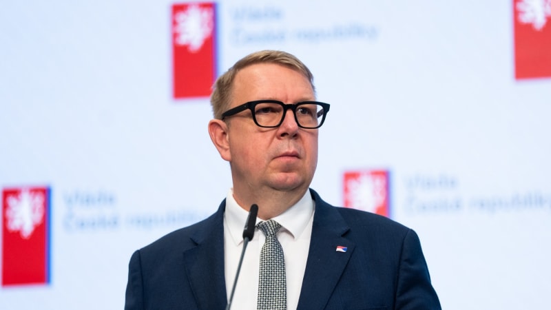 Tříletou Viktorku šlo zachránit, uvedl Juchelka. Dívku v březnu brutálně usmrtil její otec